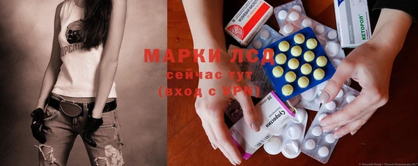 стаф Абинск