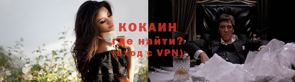 spice Новозыбков
