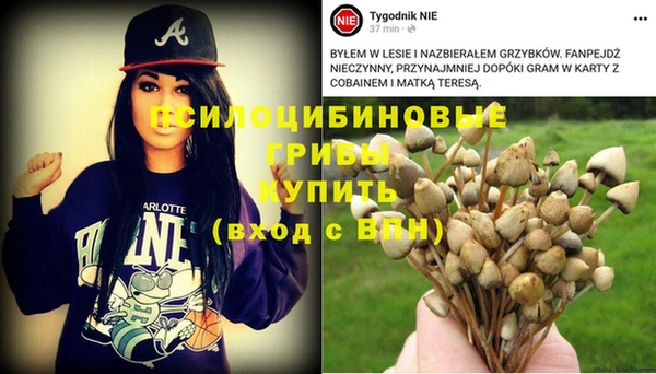 каннабис Алексин