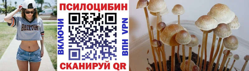 Псилоцибиновые грибы Magic Shrooms  Саранск 